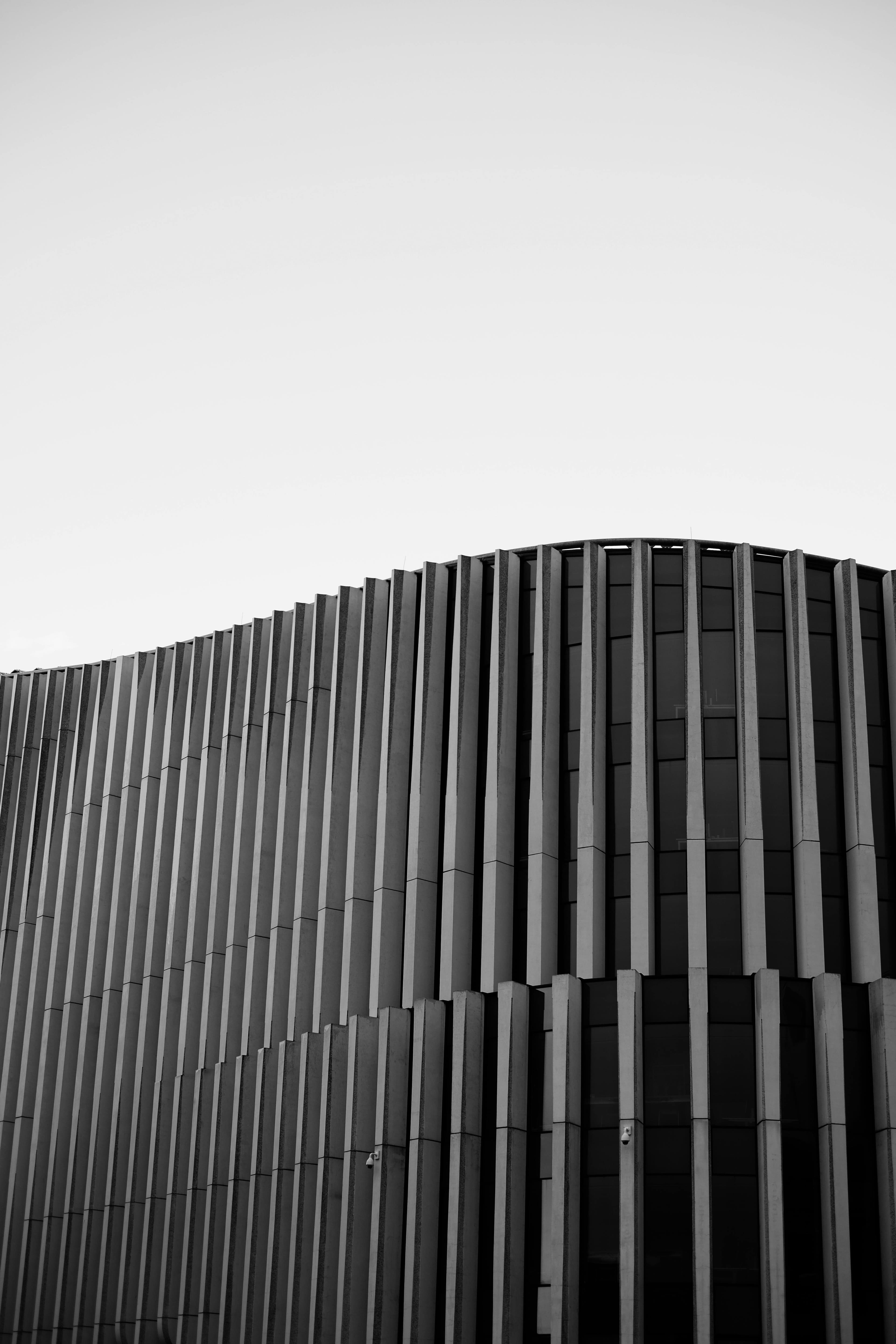 Contact Background